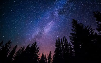 Why Your Recruitment and Selection Strategy may be Unremarkable (and What to Do About It)