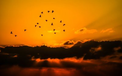 The Key to Success? Courageous, Daring Action!