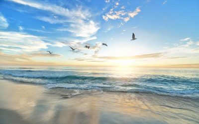 The Impending Leadership Drought: Are You Prepared?