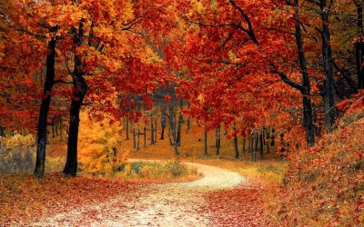 My Thoughts on How to Live a Purposeful Life