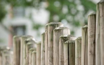 3 Easy Steps to Building a Solid Company Culture