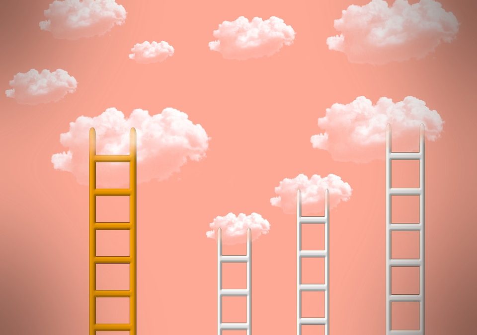 Organisational Design: The Rise of the Agile Organisation